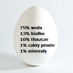 jajko skład